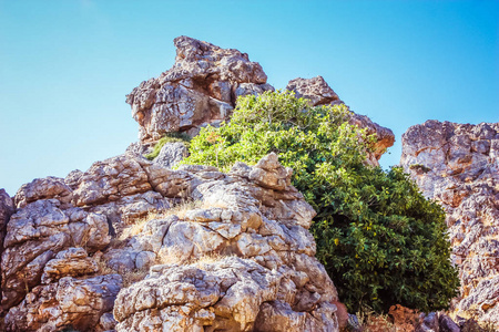 克里特岛乡村景观与自然