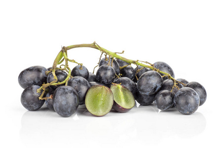 黑葡萄丛 秋天皇家品种 被隔绝在白色背景一紫色莓果减少二减半
