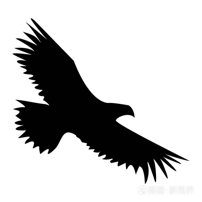 在白色背景下飞行的老鹰黑色的剪影