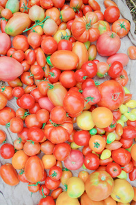 乡村市场五颜六色的西红柿。组合西红柿组