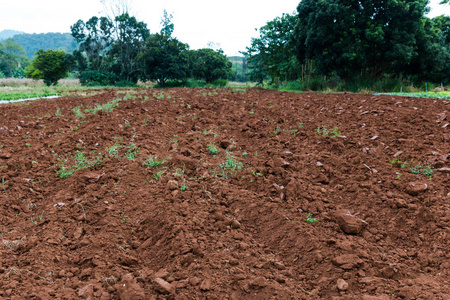 农业农场,准备用来种植作物的土壤犁过的田野中的行照片