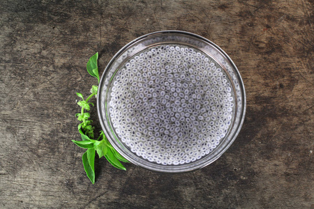 两年生植物罗勒种子浸泡在水中的,泰国的药草照片