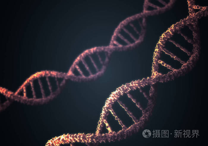 dna 双螺旋结构分子在黑色背景上.3d 渲染的图
