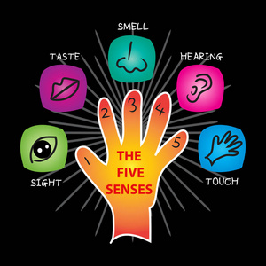 五人的感官图标图片