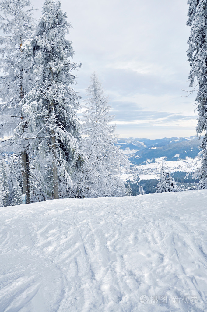 冬季大雪覆盖森林