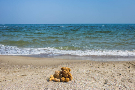 3可爱的棕色泰迪熊坐在热带海滩上