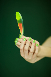 女子手捧异国情调的小鸟羽毛, 感性工作室拍摄黑色背景照片