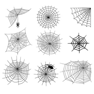 蜘蛛矢量网剪影幽灵蜘蛛自然万圣节元素蛛网装饰恐惧幽灵网