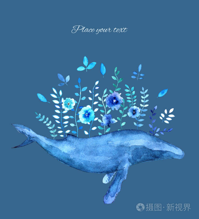 水彩鲸鱼与花