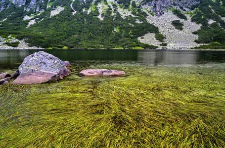 美丽的风景与湖在山里