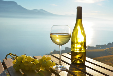 葡萄酒和葡萄对日内瓦湖