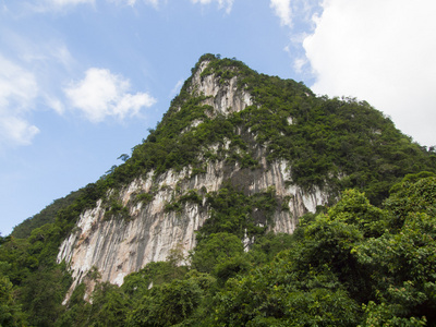 热带雨林在泰国素叻府的背景