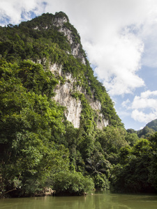 热带雨林在泰国素叻府的背景