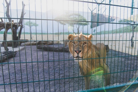 幼儿园照片强图片