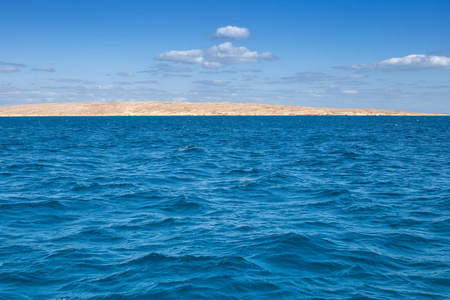 美丽的红海在埃及。自然背景