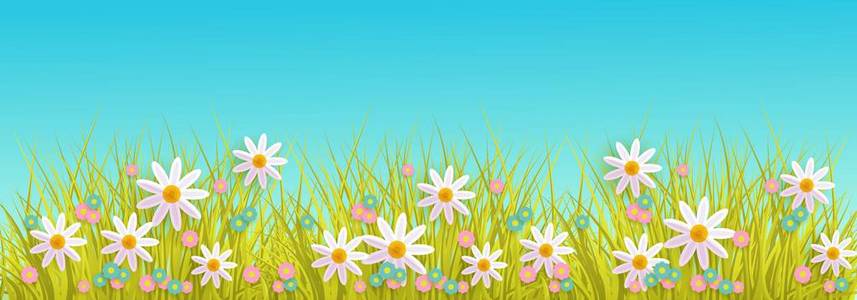 春天的草和花边框在蓝天背景与拷贝空间
