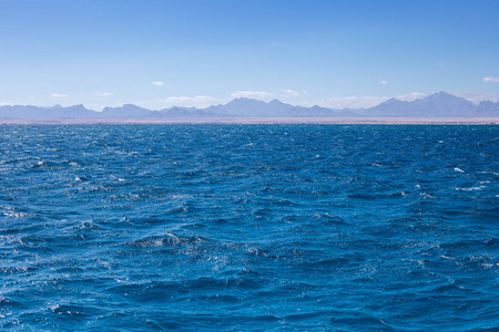 美丽的红海在埃及.自然背景照片