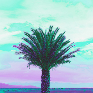 帕尔马紫色梦想最小景观艺术图片
