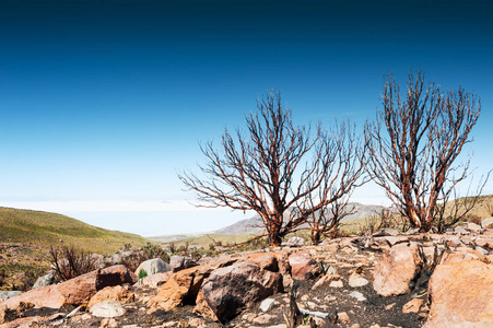 Salar de uyuni玻利维亚高原