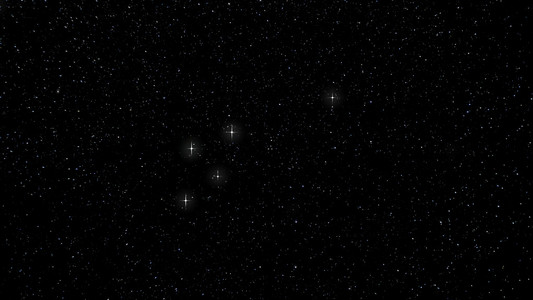 真正的夜空中的星星.星座海豚海豚
