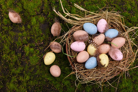 复活节背景与五颜六色的鹌鹑蛋和羽毛在巢.