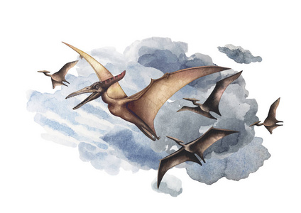 把有关翼龙的画图片