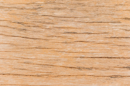 木制背景 grunge 木板