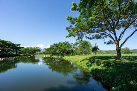 湖泊和森林