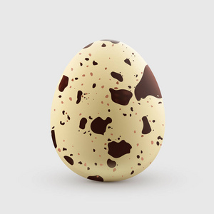 小小鹌鹑蛋图片