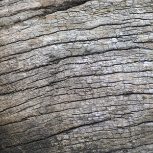 木纹理背景