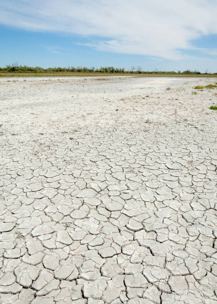 草原盐渍土在盐的盐渍盐草原草原ve