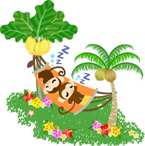 漂亮的猴子在吊床上睡午觉