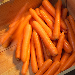 新鲜的水洗胡萝卜照片