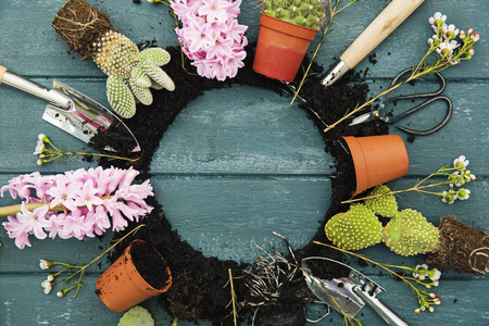 园林工具, 风信子和植物在花盆里种上木制平的背景.园艺装饰照片