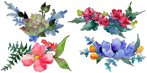五颜六色的花束。花卉植物花。野生春叶野花分离