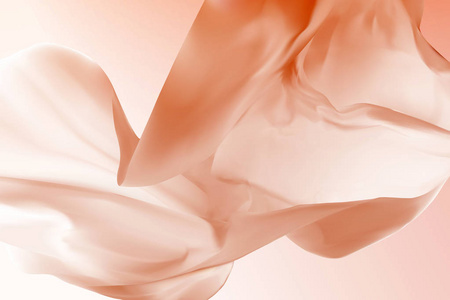 花在花园里绽放李子树粉红色的花朵竞相开放砂矿珠为白色背景上的爱