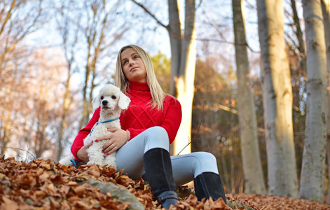 一个女孩与她的狗在多彩的秋天