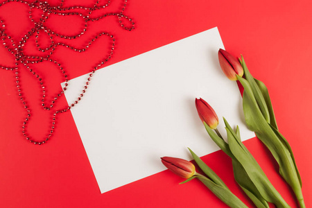 郁金香的春天的花朵和红色背景上的纸卡