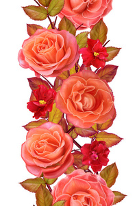 垂直的花卉边框。无缝模式。加兰的明亮美丽的橙色玫瑰，红色的叶和花。白色背景上孤立