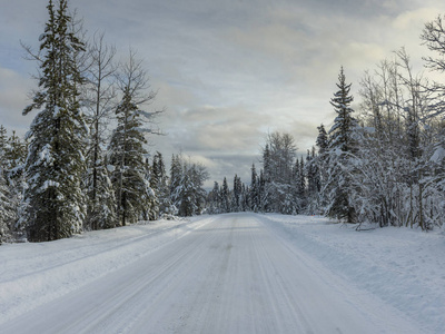 积雪覆盖的道路通过森林, 不列颠哥伦比亚省高速公路 97, 不列颠哥伦比亚省, 加拿大