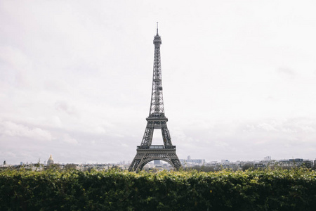 查看在法国巴黎的埃菲尔铁塔