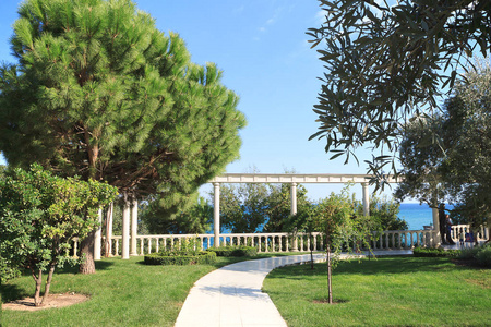 美丽的公园与帕特在 suumer 天蓝色天空-庭院设计-风景背景照片