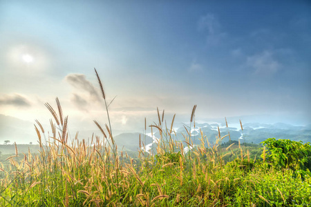 风景塔粪湖在夏天早晨当太阳照耀到湖充满薄雾, 草抹前景美丽的美丽点缀在越南高地的田园美景