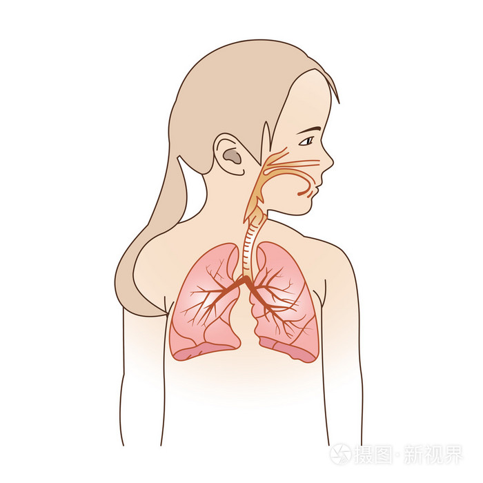儿童呼吸道计划