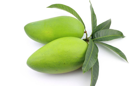 青芒果图片-青芒果素材-青芒果插画-摄图新视界