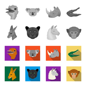 袋鼠, 骆驼, 猴子, 豹, 逼真的动物集合图标单色, 平面式矢量符号股票插画网站