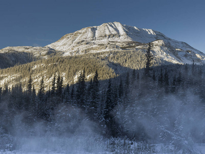 风景树与白雪皑皑山在背景, 阿拉斯加高速公路, 北落基山脉地方自治市, 不列颠哥伦比亚省, 加拿大