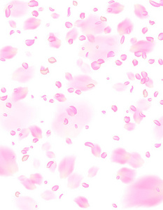 与飞行粉红色玫瑰花瓣的抽象背景。在背景上孤立的矢量图