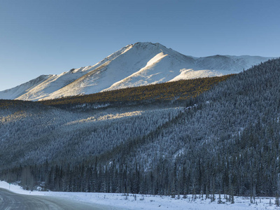 风景树与白雪皑皑山在背景, 阿拉斯加高速公路, 北落基山脉地方自治市, 不列颠哥伦比亚省, 加拿大