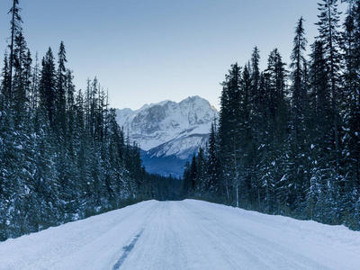 冰雪覆盖的道路与山在冬天, 翡翠湖, 约霍国家公园, 不列颠哥伦比亚省, 加拿大